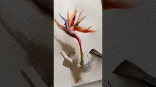 Bird of paradise in watercolor painting [upl. by Napas]