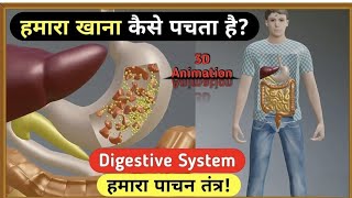 Digestive system  पाचन तंत्र biology topic  jeev vigyan  Railway alp science 1012 class [upl. by Kora]