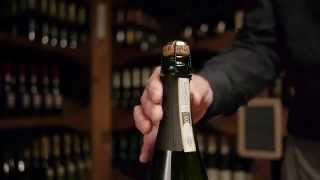 What is Prosecco [upl. by Arramat]