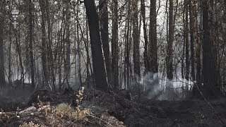 Skogsbranden i Älvdalen  torsdag 197 [upl. by Iccir]