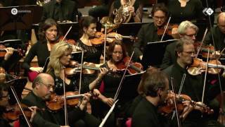 Wagner Der Ring des Nibelungen arr De Vlieger  Radio Filharmonisch Orkest  Live concert HD [upl. by Adnwahsor]