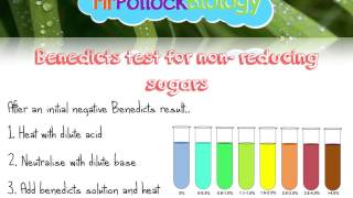 Biochemistry Know Your Biochemical Tests [upl. by Nosauq644]