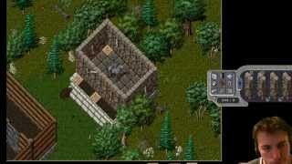 Ultima Online PK house ☺ Building PvP house at UOFOREVER [upl. by Buhler]