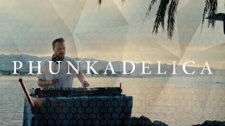 Phunkadelica  Haleiwa Beach Oahu Hawaii  Indie Dance  House Full Set  Centered Series 014 [upl. by Essilrahc857]