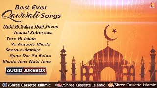 Best Ever Qawwali 2017 Songs  Audio jukebox [upl. by Miharbi199]