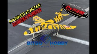 Dynam Hawker Hunter Maiden Flight amp Shakedown [upl. by Melbourne]