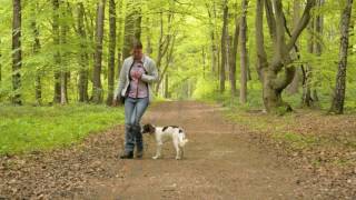 Basisausbildung für den brauchbaren Jagdhund quotDie Leinenführigkeitquot [upl. by Mij]