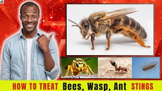 How to Care for Bee sting Wasp ant amp Centipede stings [upl. by Clementina]