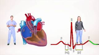 ECG for Beginners Understanding the waves of ECG P wave QRS complex [upl. by Najed]