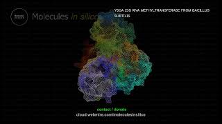 Molecules in silico ･ YSGA 23S RNA METHYLTRANSFERASE FROM BACILLUS SUBTILIS [upl. by Kyle96]