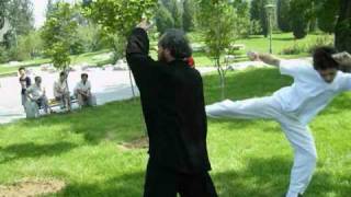 Master Zhang Teaching Chengpu 85 Tai Chi Applications [upl. by Brezin]