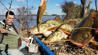 Pesca y Frito 📍 Arocena  Santa fe 🇦🇷 [upl. by Curcio140]