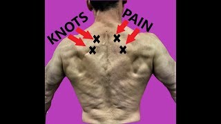 Rhomboid Pain Relief Exercises To Fix Your Upper Back [upl. by Aushoj]