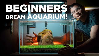 BEGINNERS dream AQUARIUM Watch how I built it in just a few SIMPLE STEPS [upl. by Llewej131]