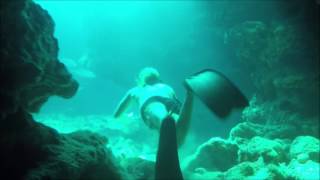 Freediving Kittiwake and Eden Rock Grand Cayman [upl. by Ennylhsa]