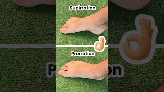 Fix Your Bunions amp Overpronation at The Same Time [upl. by Mona617]