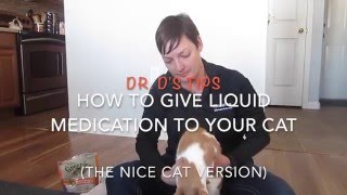 How To Give Liquid Medication To A Cat The Nice Version [upl. by Noguchi605]