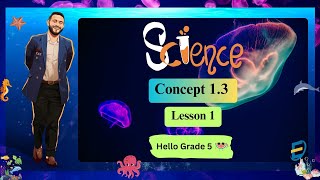 SCIENCE l Grade 5 l First Term  Concept 13  lesson 1 [upl. by Thurlough]