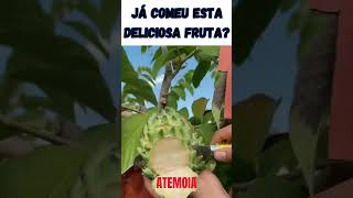 Já comeu esta deliciosa fruta ATEMOIA  Híbrido entre a pinha e a cherimoia Annona Squamosa [upl. by Edelstein405]