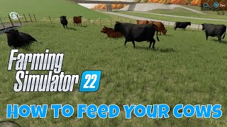 How to Feed Your Cows  Farming Simulator 22 Tutorial [upl. by Annor]