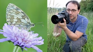 How to Photograph Butterflies in the Field  Marbled Whites Canon 1DX amp EF 100mm F28 Lens [upl. by Iek]