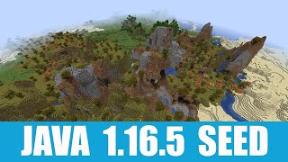 Minecraft Java 1165 Seed Double village on shattered savanna plateau at spawn [upl. by Chun899]