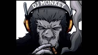 DJ MONKEY JDM X JTB [upl. by Delbert]