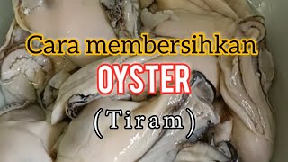 CARA MEMBERSIHKAN OYSTER  TIRAM [upl. by Danyette]