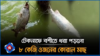 টেকনাফে বর্শীতে ধরা পড়লো ৮ কেজি ওজনের কোরাল মাছ  Teknaf  Rupali Bangladesh [upl. by Okier277]