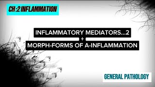 INFLAMMATORY MEDIATORS Part 02  General Pathology CH 02 [upl. by Eizzik]