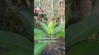 Lubong sa Putikan nature mangrove planting [upl. by Lokcin756]