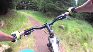 Kielder Forest MTB  Blue Run Single Track Downhill Sections [upl. by Einahpets672]