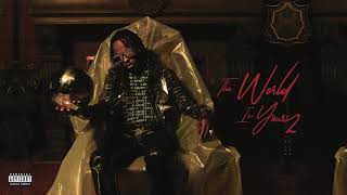 Rich The Kid  Fall Threw ft Young Thug amp Gunna Audio [upl. by Nivloc192]