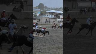 POLOMATCH  Freestyle polo Match Chitral  part 19 horse horsesports pologame today viralvideo [upl. by Yeca]