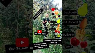 Winter season fruit plant thefarmernursery gardening garden amazing [upl. by Islaen403]