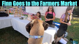 Finn Goes to the Farmers Market [upl. by Dalis]