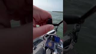 Rolling the dice on Leech bassfishing fishing minnesota smallmouthbass smallmouth leechlake [upl. by Malkah]