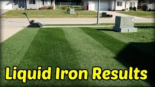 Does Liquid Iron Work  Fall Lawn Mowing Fun [upl. by Candless552]