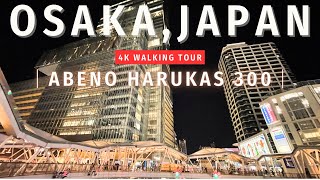 日本で2番目に高いビル あべのハルカス300 空中散歩 in OSAKAJAPAN 4K Sky Walking Tour 【4K HDR 24fps】 [upl. by Kirst568]