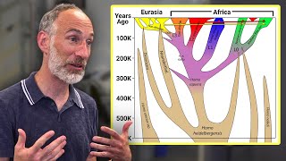 A key period in human evolution wasnt in Africa – David Reich [upl. by Fogel]