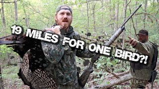 WEST VIRGINIA TURKEY HUNT WITH THE UNTAMED [upl. by Ariaek96]