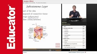 Integumentary System [upl. by Nirroc534]