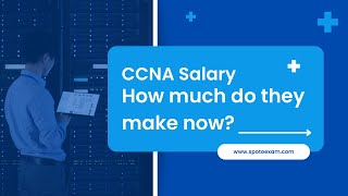 CCNA SALARY How Much Can You Earn with CCNA in 2023 amp2024 [upl. by Sonja]