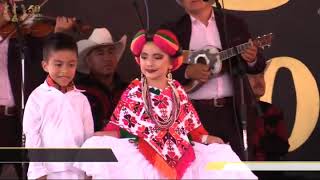 50 CONCURSO NACIONAL DE BAILE DE HUAPANGO HUASTECO SAN JOAQUÍN 2019 PARTE 3 [upl. by Seiter]