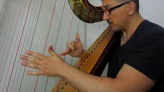 FABoieldieu Harp Sonata in G Major opus 8 Ed IPerrin [upl. by Blynn]