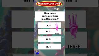 Check your knowledge in Microbiology quiz neetpgmcq medicalquiz aiapget trendingshorts viral [upl. by Rosenkrantz827]