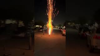 Salute and color shells 💥 bangers fireworks pyrotechnics rocketfireworks bangers goviral [upl. by Latyrc]