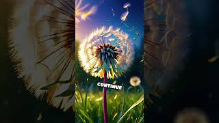 Dance of the Dandelions Counting Fun [upl. by Vaas]