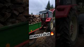 Binderberger Wippsäge mit Förderband 🔥  brennholz machen shorts [upl. by Refanej]