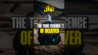 The true Essence of Believer  shaykh Abdul hakim murad  guidance islam [upl. by Vlad43]